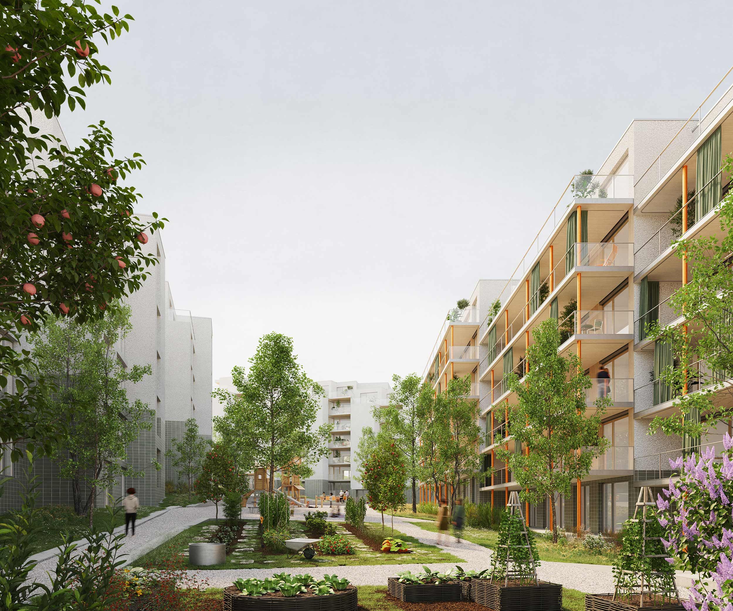 Testplanung Entwicklung Areal Gulmenmatt