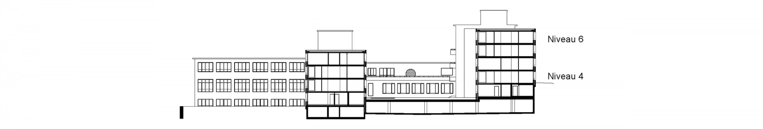 Cross section